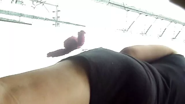 Follada a la videos de sexo ancianas chica en cámara